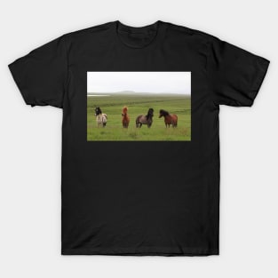 Icelandic Horses in an Open Field T-Shirt